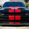 Blackbeauty